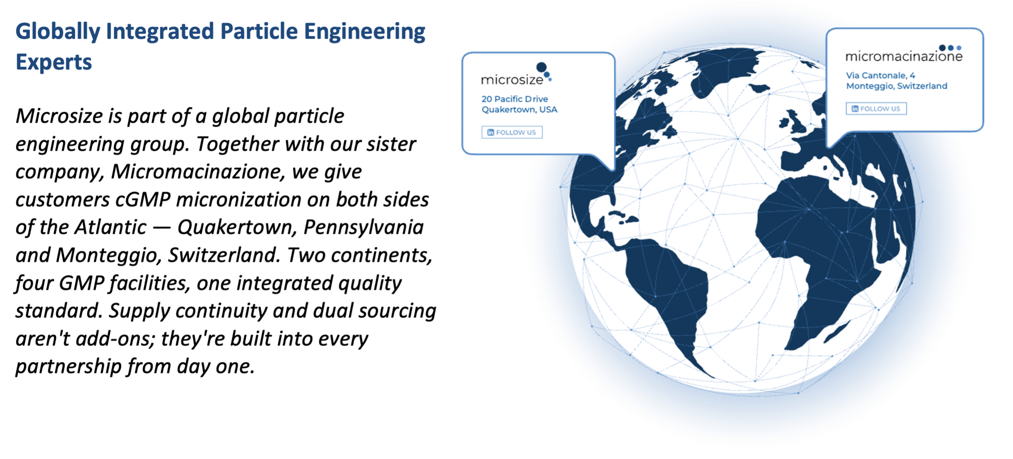 msz_micmac_globe_text